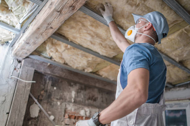 Best Insulation Maintenance and Repair in Bohners Lake, WI