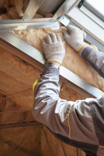 Best Geographic-Specific Insulation Services in Bohners Lake, WI